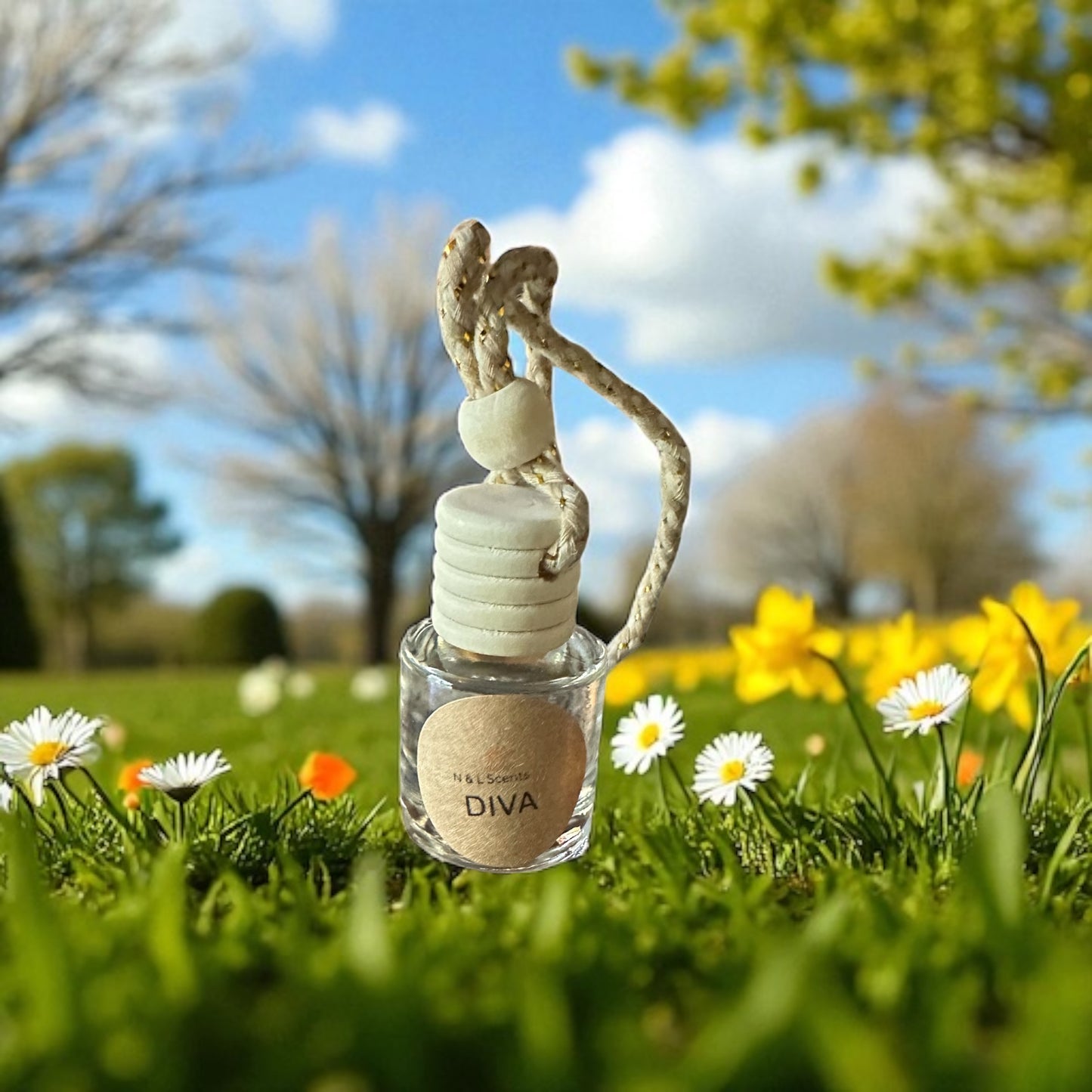 DIVA Car Diffuser