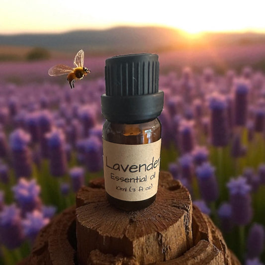 Lavender Essential Oil 10ml